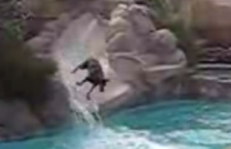 Dog Takes Slide For A Ride